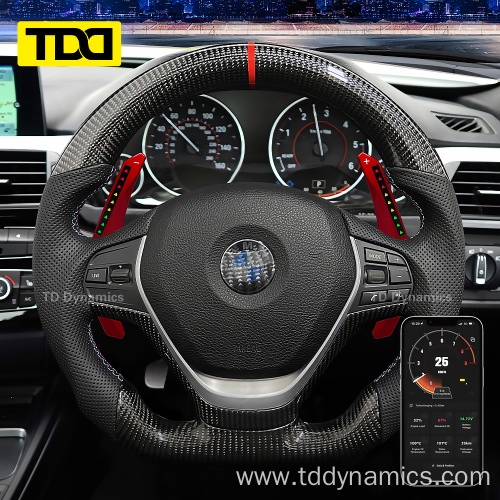 LED paddle shifter for BMW 3 Serious